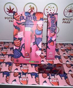 Puffin disposable vape